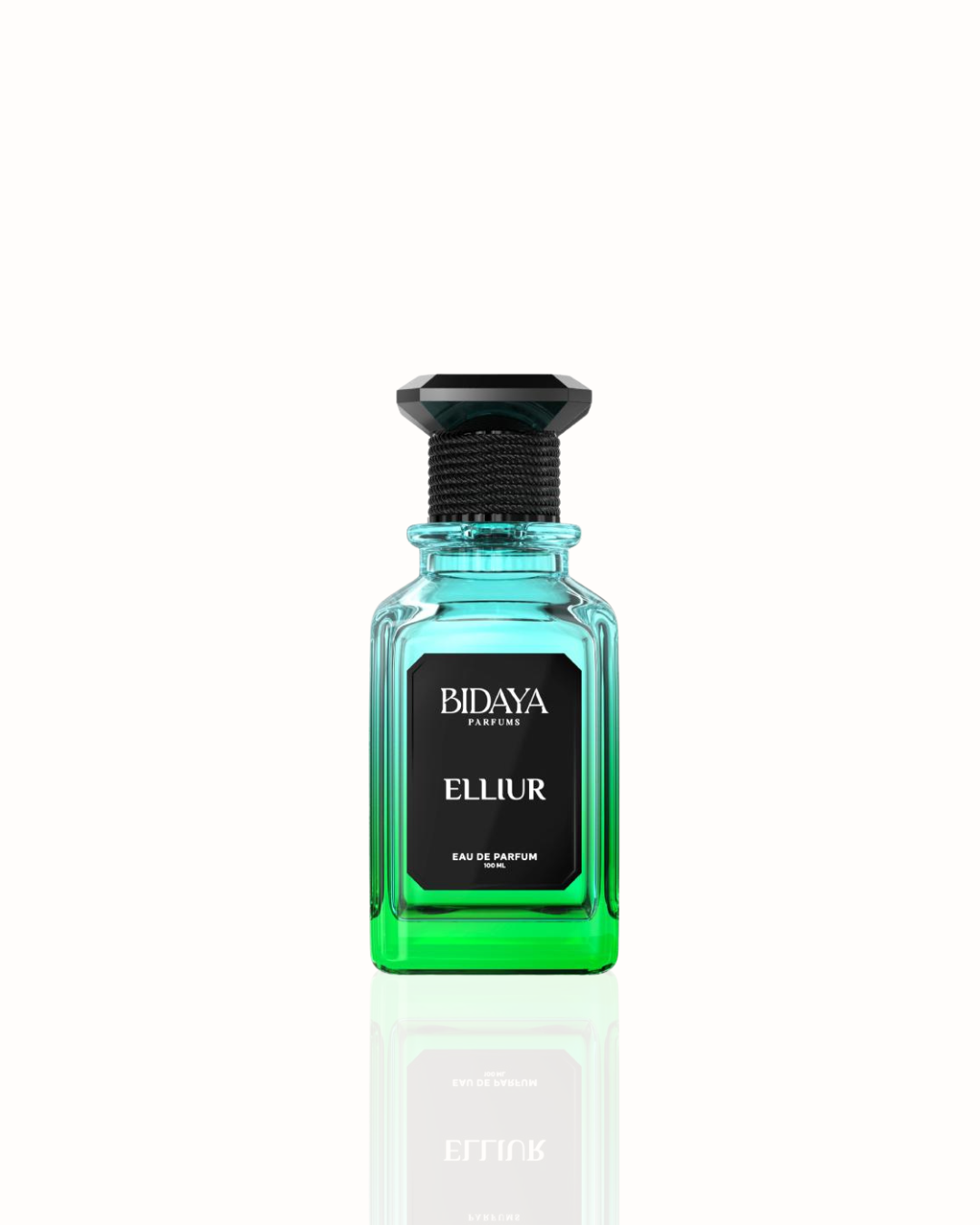 Bidaya - Elliur